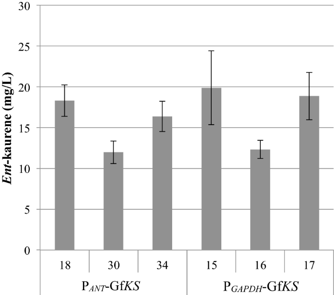 Production Of Ent Kaurene From Lignocellulosic Hydrolysate In Rhodosporidium Toruloides Microbial Cell Factories Full Text