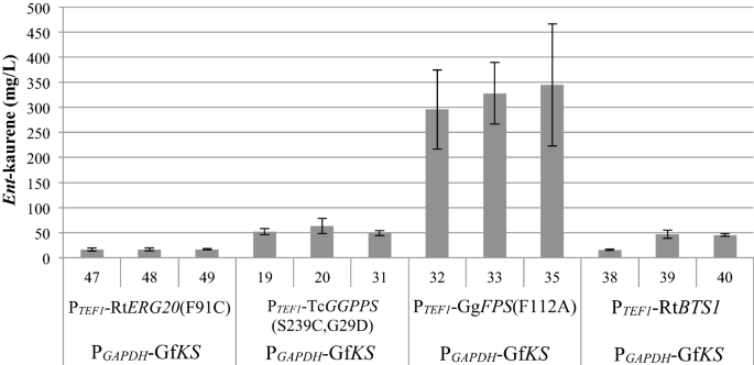 Production Of Ent Kaurene From Lignocellulosic Hydrolysate In Rhodosporidium Toruloides Microbial Cell Factories Full Text