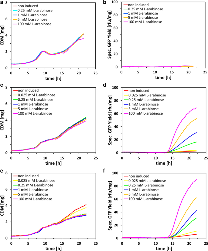 Tunable Expression Rate Control Of A Growth Decoupled T7 Expression System By L Arabinose Only Microbial Cell Factories Full Text Tunable Expression Rate Control Of A Growth Decoupled T7 Expression System By L Arabinose Only Microbial Cell Factories Full Text