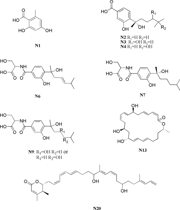 Inducing Secondary Metabolite Production Of Aspergillus Sydowii Through Microbial Co Culture With Bacillus Subtilis Microbial Cell Factories Full Text