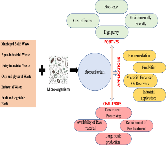 Valorizing food wastes: assessment of novel yeast strains for enhanced  production of single-cell protein from wasted date molasses