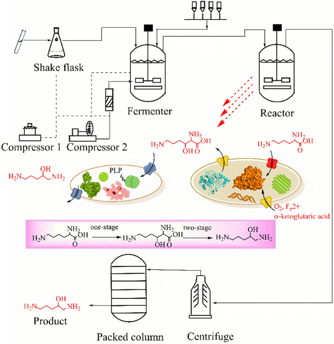 scheme 1