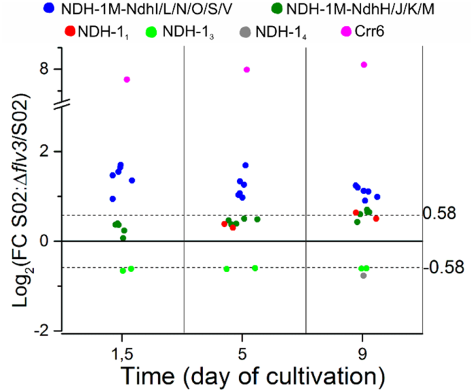 Interplay between photosynthetic electron flux and organic carbon sinks in sucrose-excreting Synechocystis sp. PCC 6803 revealed by omics approaches | Microbial Cell Factories | Full Text interplay-between-photosynthetic-electron-flux-and-organic-carbon-sinks-in-sucrose-excreting-synechocystis-sp-pcc-6803-revealed-by-omics-approaches-microbial-cell-factories-full-text