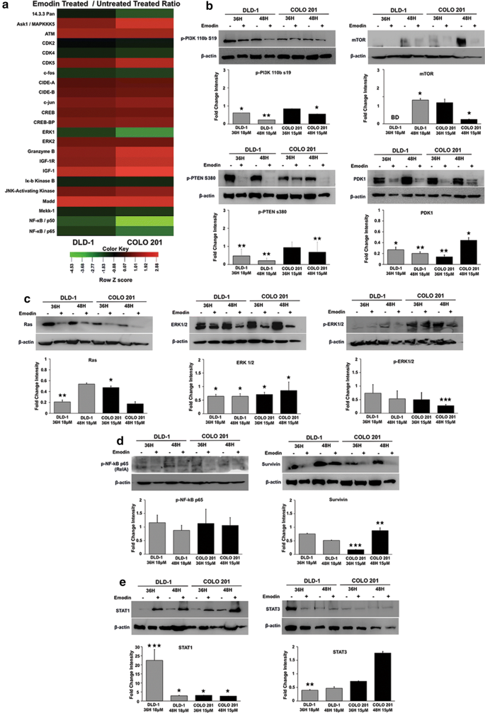 Emodin Inhibits Colon Cancer By Altering l 2 Family Proteins And Cell Survival Pathways Cancer Cell International Full Text Emodin Inhibits Colon Cancer By Altering l 2 Family Proteins And Cell Survival Pathways Cancer Cell International Full Text