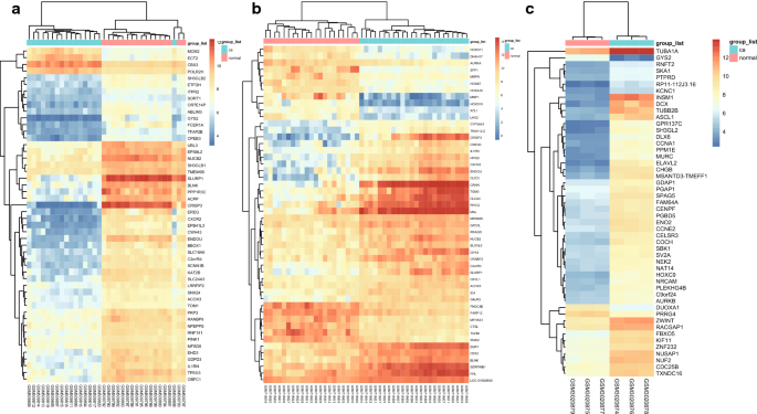 Systematic identification of key functional modules and genes in esophageal  cancer | Cancer Cell International | Full Text