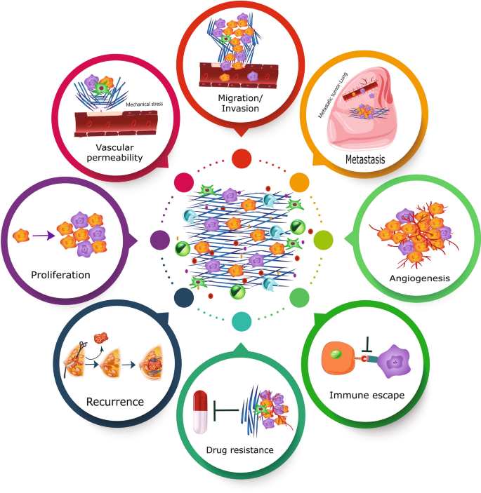 Basement membrane stiffness determines metastases formation