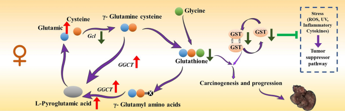 is glutathione carcinogenic Natural Ways to Increase Glutathione Before Wedding