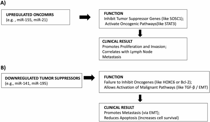 Non-coding RNAs in laryngeal squamous cell carcinoma: diagnostic biomarkers  and emerging exosome-based therapeutic strategies | Cancer Cell  International | Springer Nature Link