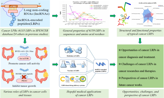 Recent advances in structural and functional diversities of cancer ...