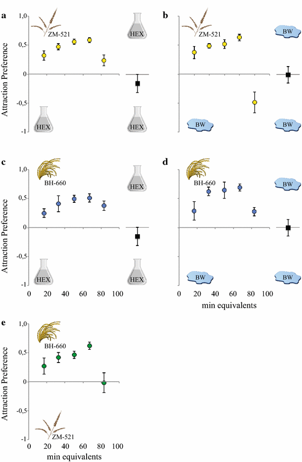 A(maize)ing attraction: gravid Anopheles arabiensis are attracted and  oviposit in response to maize pollen odours | Malaria Journal | Full Text