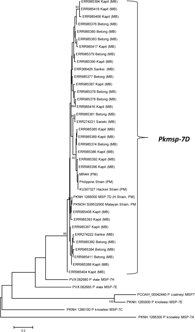Plasmodium knowlesi clinical isolates from Malaysia show extensive 