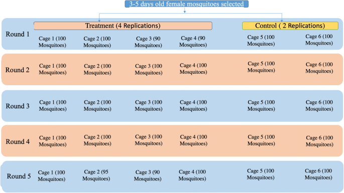 Side effects of ivermectin in humans