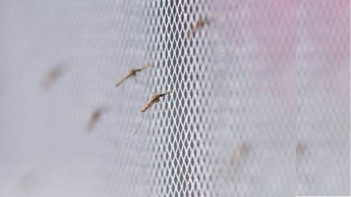 The fabric of life: what if mosquito nets were durable and widely available  but insecticide-free?, Malaria Journal