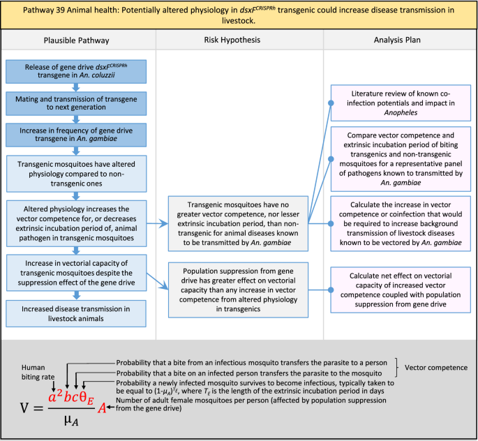 figure 41