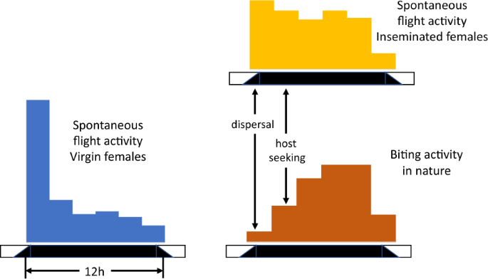 literature review on prevalence of malaria figure 2