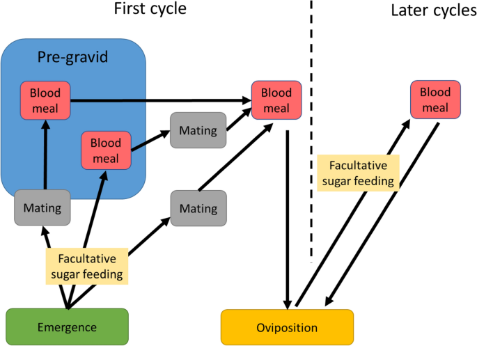 literature review on prevalence of malaria figure 3