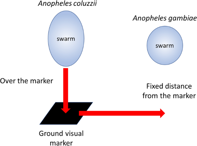 literature review on prevalence of malaria figure 4