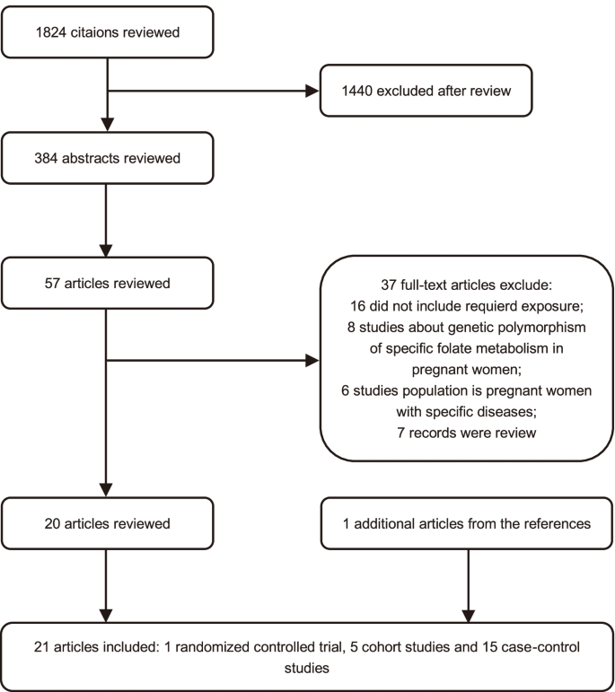 birth defects systematic review of the literature figure 1