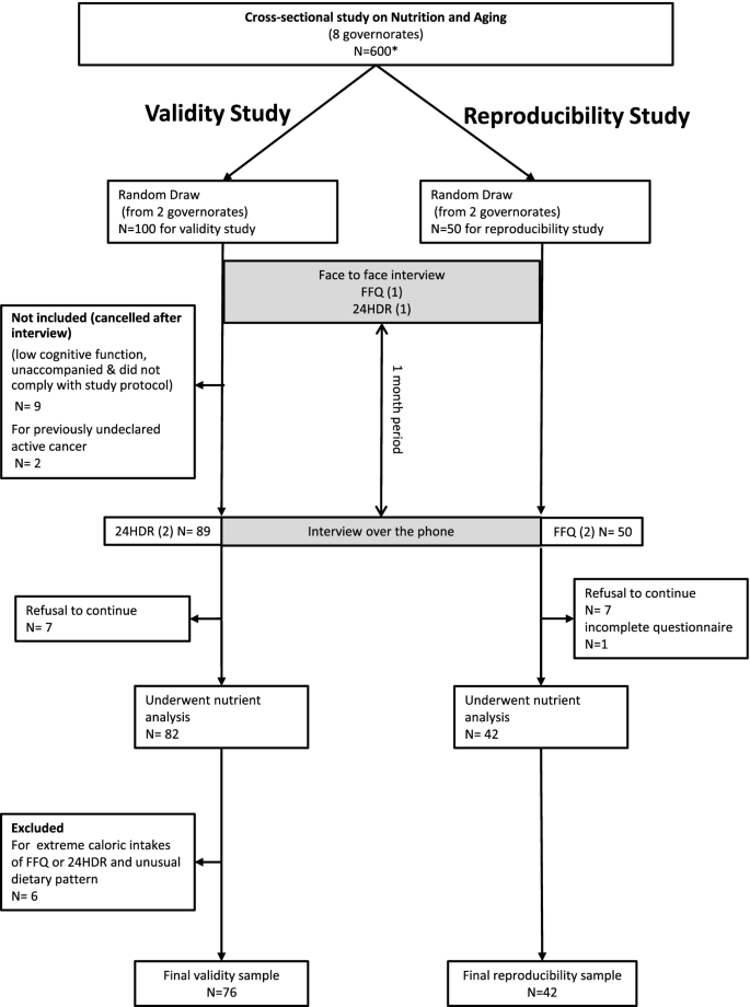 Validity and reliability of a food frequency questionnaire for community  dwelling older adults in a Mediterranean country: Lebanon | Nutrition  Journal | Full Text