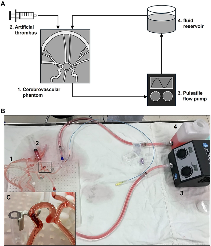 Optimizing stent retrievers for mechanical enhancement and in vitro ...