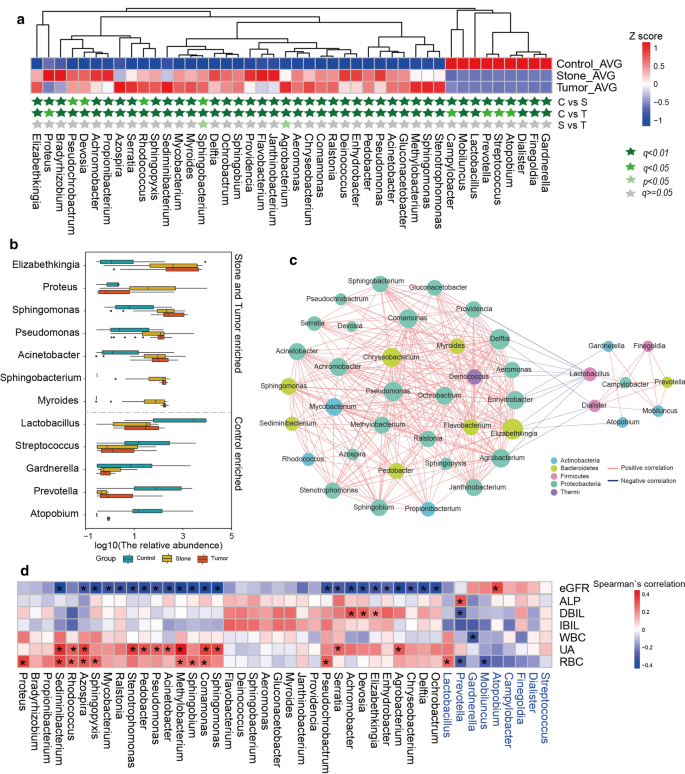 urine dysbiosis nevoi plantare salipod recenzii