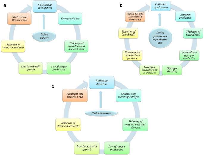 Microbiota In Vaginal Health And Pathogenesis Of Recurrent Vulvovaginal Infections A Critical Review Annals Of Clinical Microbiology And Antimicrobials Full Text