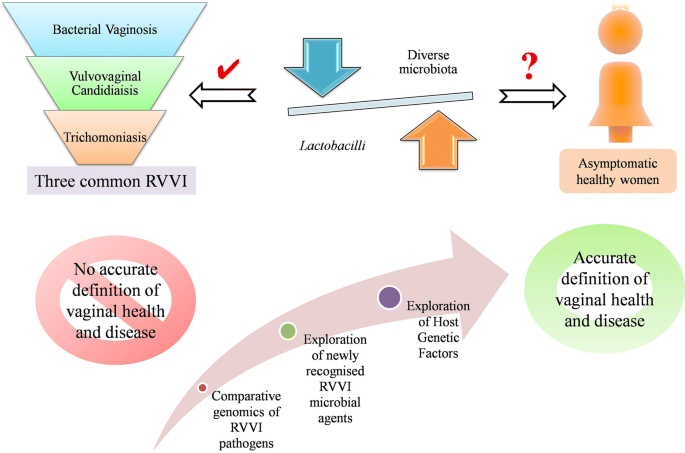 Microbiota In Vaginal Health And Pathogenesis Of Recurrent Vulvovaginal Infections A Critical Review Annals Of Clinical Microbiology And Antimicrobials Full Text