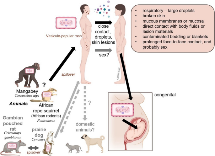 What you need to know about monkeypox - Mayo Clinic Health System