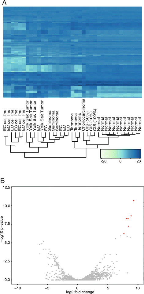 A Genetic Screen Implicates miRNA-372 and miRNA-373 As Oncogenes in  Testicular Germ Cell Tumors: Cell