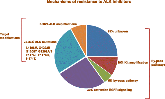 Comparison of ALK and LTK structure and sequence. (A) Schematic of ALK