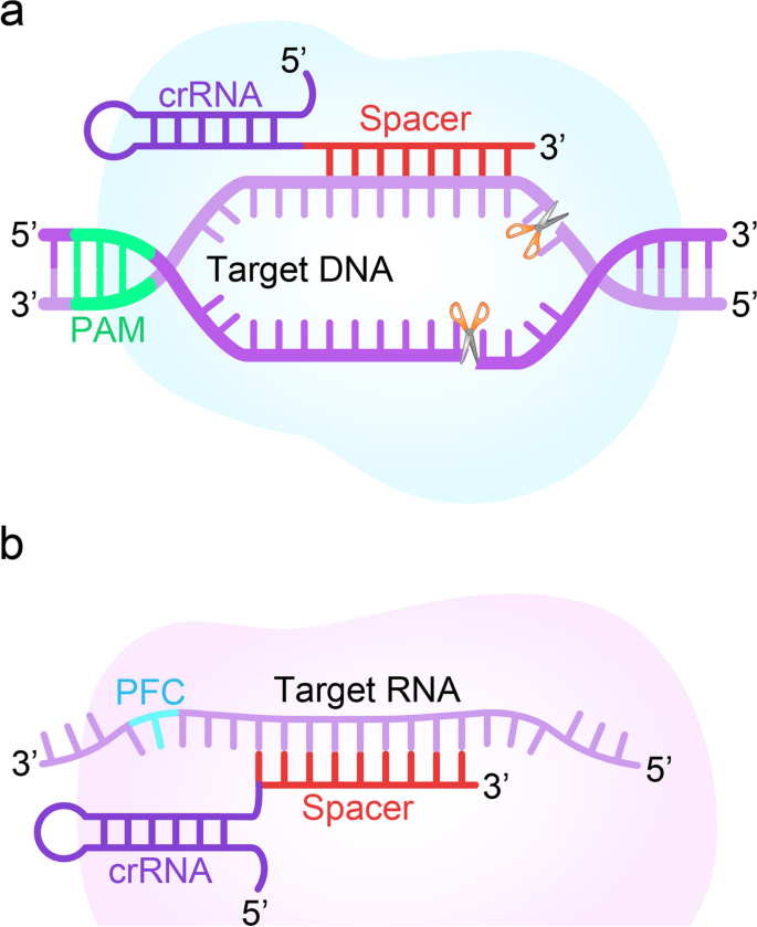 crispr gene editing research paper figure 4