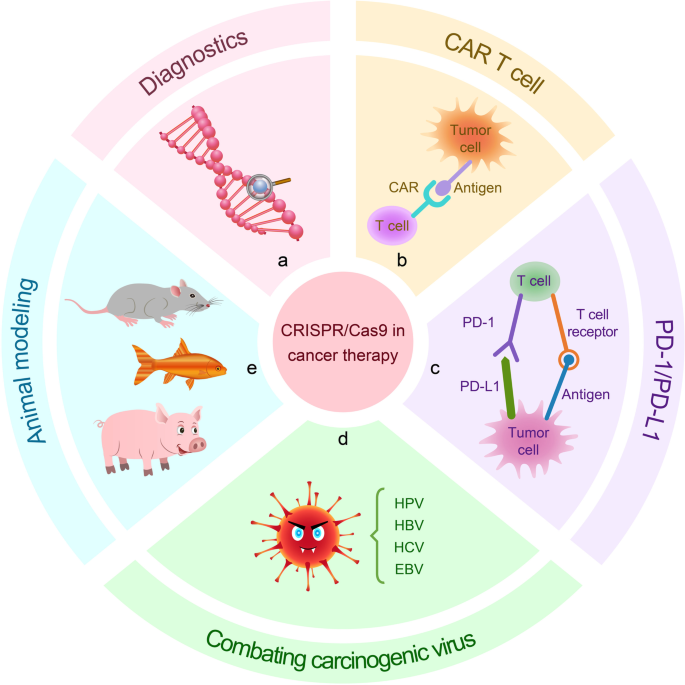 crispr gene editing research paper figure 7