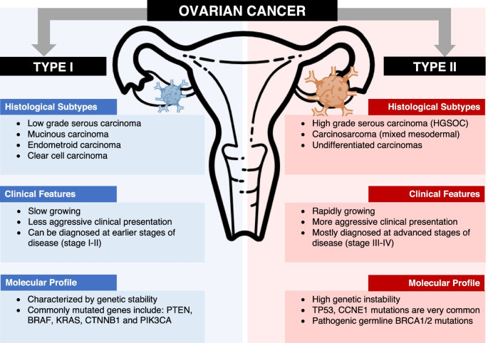Potential Clinical Utility Of Liquid Biopsies In Ovarian Cancer | Molecular  Cancer | Full Text