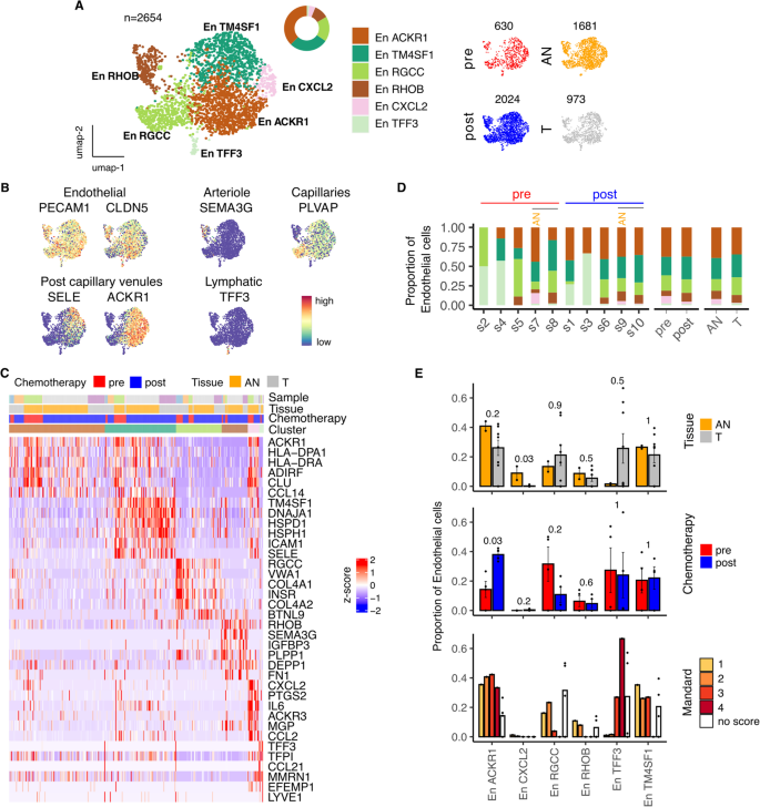 PDF) Abstract A74: Microparticles mediate cross-talk between tumoral and  endothelial cells and promote the constitution of an angiocrine  pro-metastatic niche through Arf6 up regulation