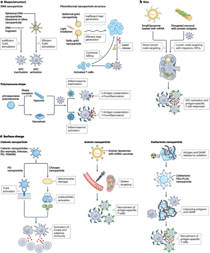 figure 20