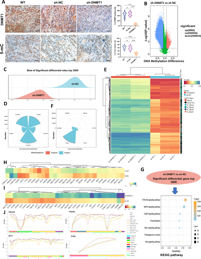 essay on dna replication figure 4