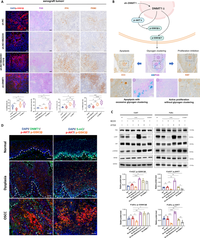 essay on dna replication figure 7