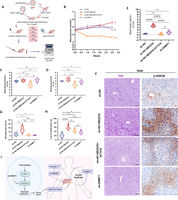 essay on dna replication figure 8