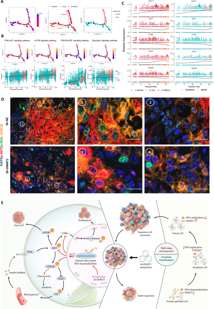 essay on dna replication figure 9