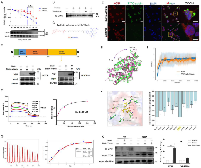 research on cancer colorectal figure 2