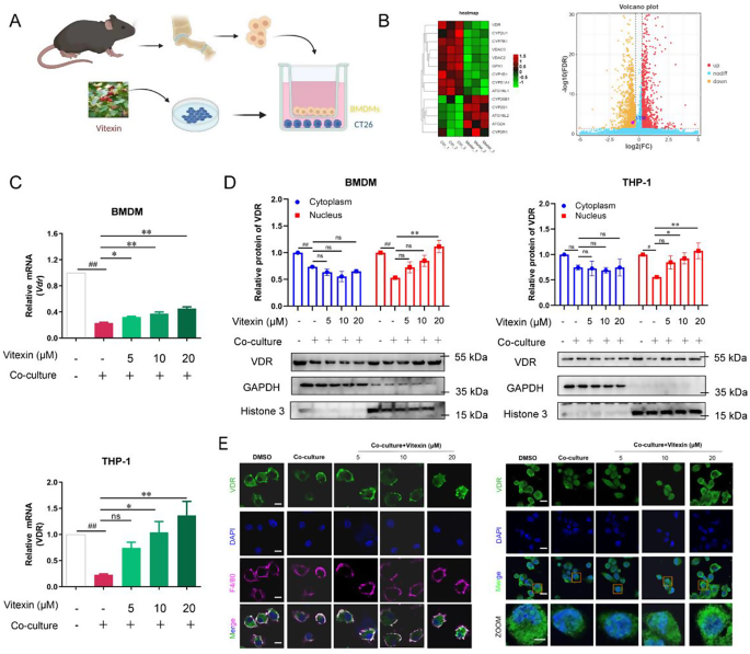 research on cancer colorectal figure 4