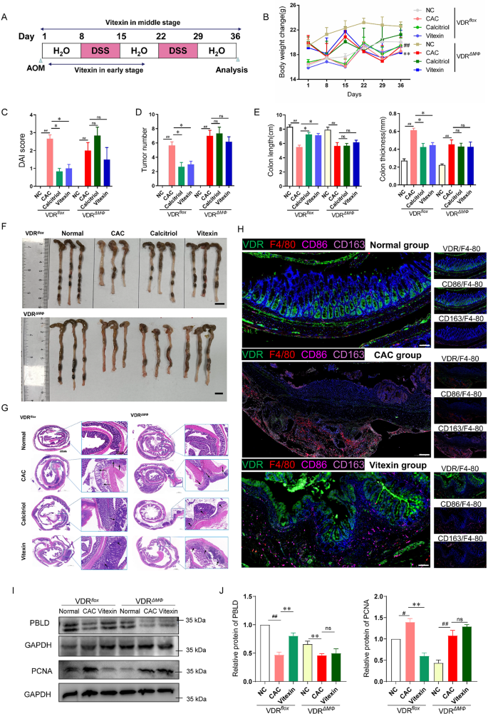 research on cancer colorectal figure 7