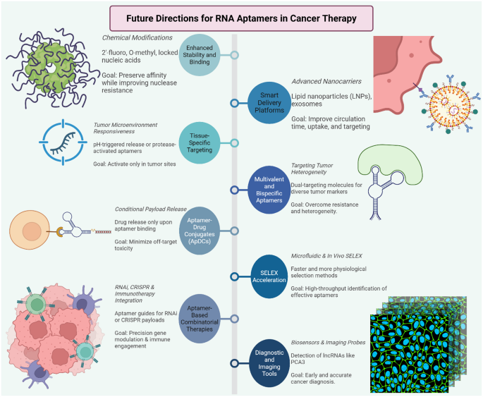 Advances in RNA-based cancer therapeutics: pre-clinical and clinical  implications | Molecular Cancer | Springer Nature Link