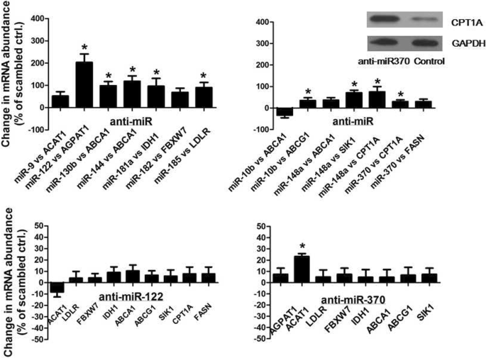 Signature Microrna Expression Profile Is Associated With Lipid Metabolism In African Green Monkey Lipids In Health And Disease Full Text Signature Microrna Expression Profile Is Associated With Lipid Metabolism In African Green Monkey Lipids In Health And Disease Full Text