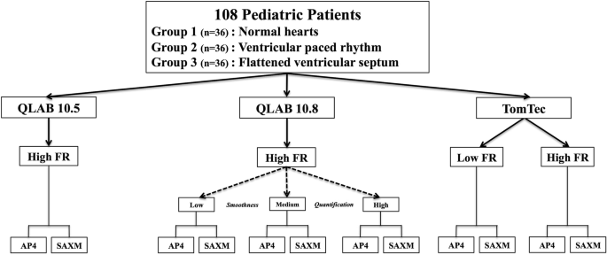 Ventricular strain analysis in patients with no structural heart disease  using a vendor-independent speckle-tracking software, BMC Cardiovascular  Disorders