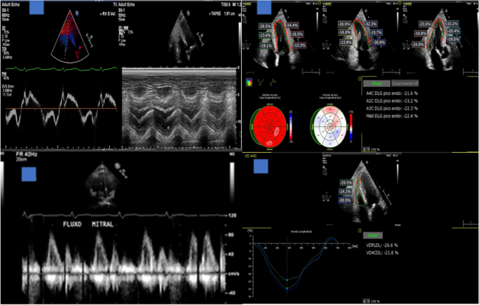 figure1