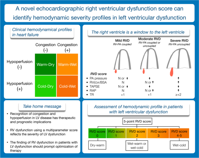 Algorithm of diagnosis of heart failure or left ventricular dysfunction.