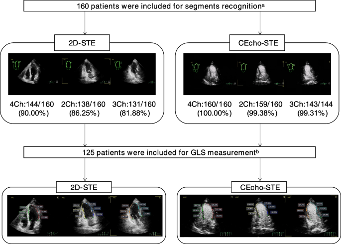 Global longitudinal strain: A new gold standard for assessing