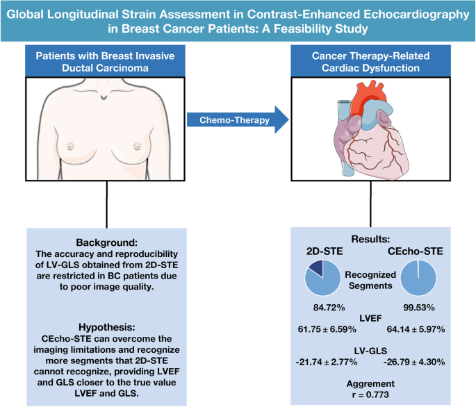 Global longitudinal strain assessment in contrast-enhanced
