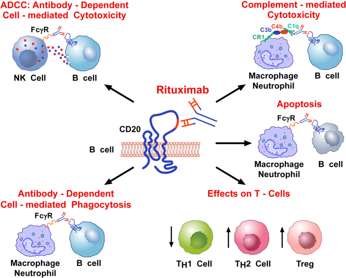 Immunosuppressive Therapy With Rituximab In Common Variable
